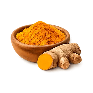 Curcuma Complex — Ekstrakt z kurkumy 10% (Curcuma longa)