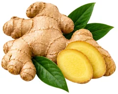 Curcuma Complex – Ingwer-Extrakt (Zingiber officinale)