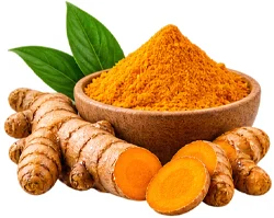 Curcuma Complex – Kurkuma-Extrakt (Curcuma longa) als Kapselzutat