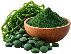 Curcuma Complex – Spirulina-Pulver (Spirulina platensis)