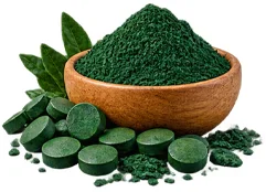 {{OFFER_NAME}} — BioPerine 95% Piperin (Piper nigrum)