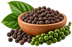 {{OFFER_NAME}} — BioPerine 95% Piperin (Piper nigrum)