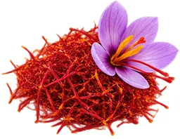 {{OFFER_NAME}} — Ingwer-Extrakt 1% Gingerole (Zingiber officinale)