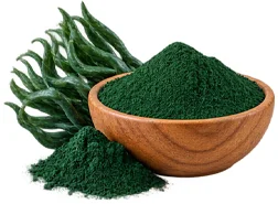{{OFFER_NAME}} — Ingwer-Extrakt 1% Gingerole (Zingiber officinale)