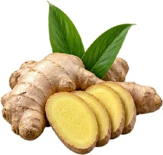 {{OFFER_NAME}} — Ingwer-Extrakt 1% Gingerole (Zingiber officinale)