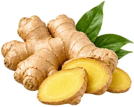 {{OFFER_NAME}} — Ingwer-Extrakt 1% Gingerole (Zingiber officinale)