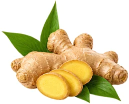 {{OFFER_NAME}} — Ingwer-Extrakt 1% Gingerole (Zingiber officinale)