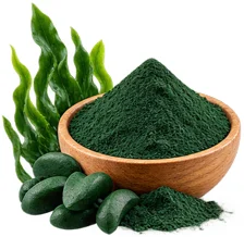 {{OFFER_NAME}} — Ingwer-Extrakt 1% Gingerole (Zingiber officinale)