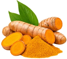 {{OFFER_NAME}} — Kurkuma-Extrakt 10% (Curcuma longa)