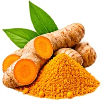 {{OFFER_NAME}} — Kurkuma-Extrakt 10% (Curcuma longa)