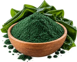 {{OFFER_NAME}} — Kurkuma-Extrakt 10% (Curcuma longa)
