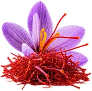 {{OFFER_NAME}} — Kurkuma-Extrakt 10% (Curcuma longa)