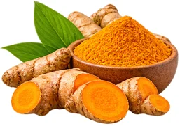 {{OFFER_NAME}} — Kurkuma-Extrakt 10% (Curcuma longa)