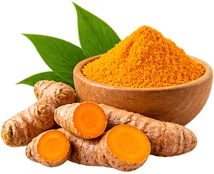 {{OFFER_NAME}} — Kurkuma-Extrakt 10% (Curcuma longa)