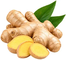 {{OFFER_NAME}} — Kurkuma-Extrakt 10% (Curcuma longa)