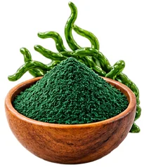 {{OFFER_NAME}} — Spirulina-Pulver (Spirulina platensis)