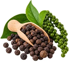 {{OFFER_NAME}} — Spirulina-Pulver (Spirulina platensis)