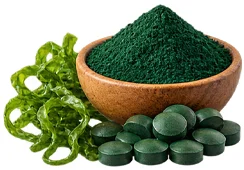 {{OFFER_NAME}} — Spirulina-Pulver (Spirulina platensis)